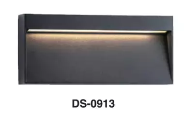 DS－0913